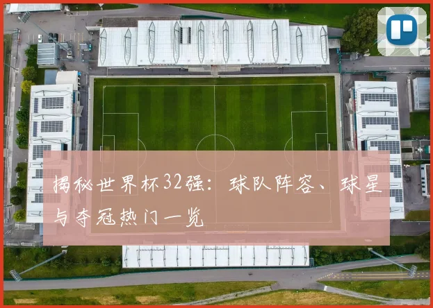揭秘世界杯32强：球队阵容、球星与夺冠热门一览