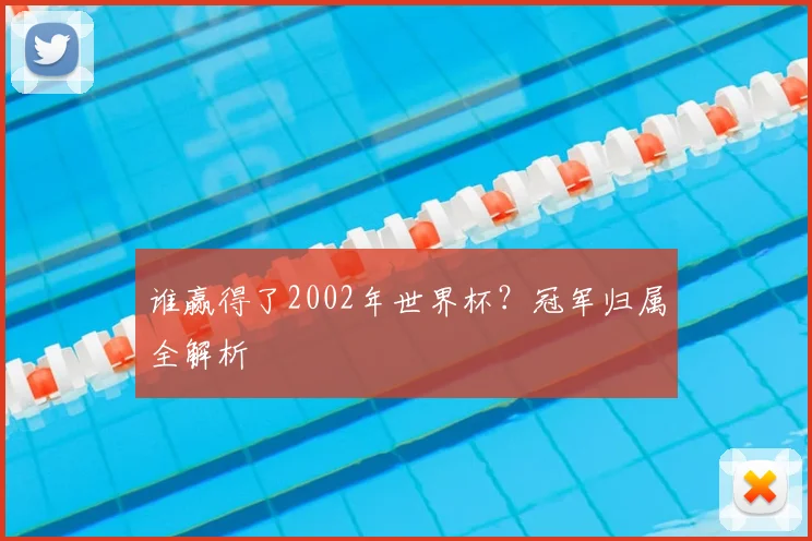谁赢得了2002年世界杯？冠军归属全解析