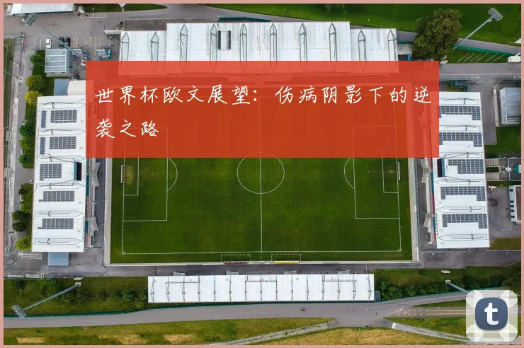 世界杯欧文展望：伤病阴影下的逆袭之路